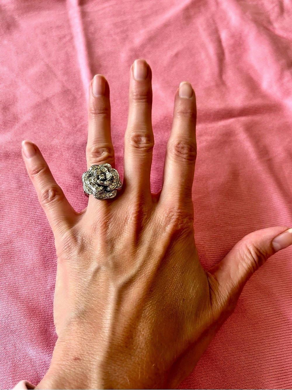 Banana Republic Rose Rhinestone Statement Ring in Silver